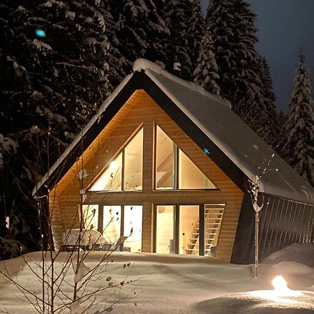 Chalet Belveder Horska Chata Železná Ruda المظهر الخارجي الصورة