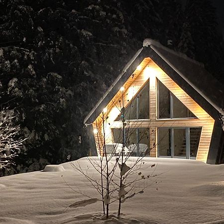 Chalet Belveder Horska Chata Železná Ruda المظهر الخارجي الصورة