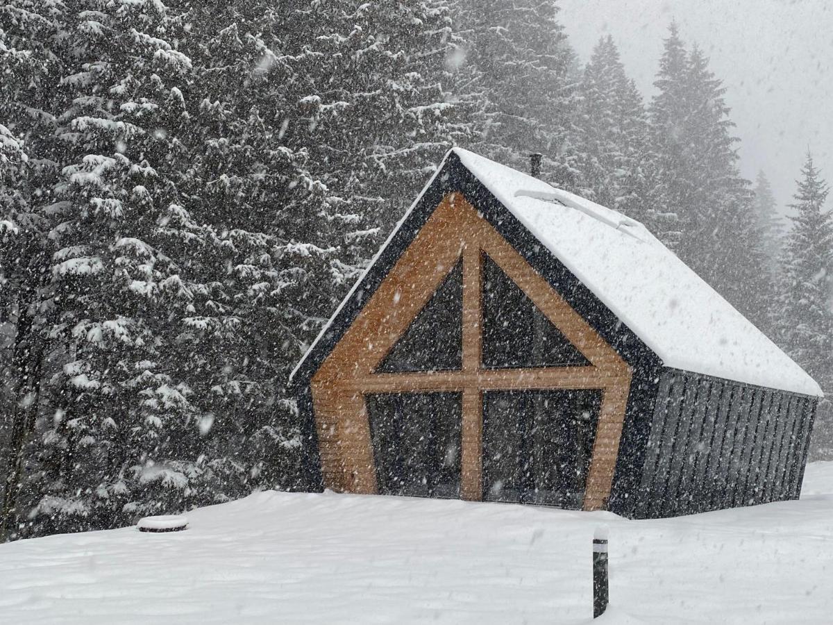 Chalet Belveder Horska Chata Železná Ruda المظهر الخارجي الصورة
