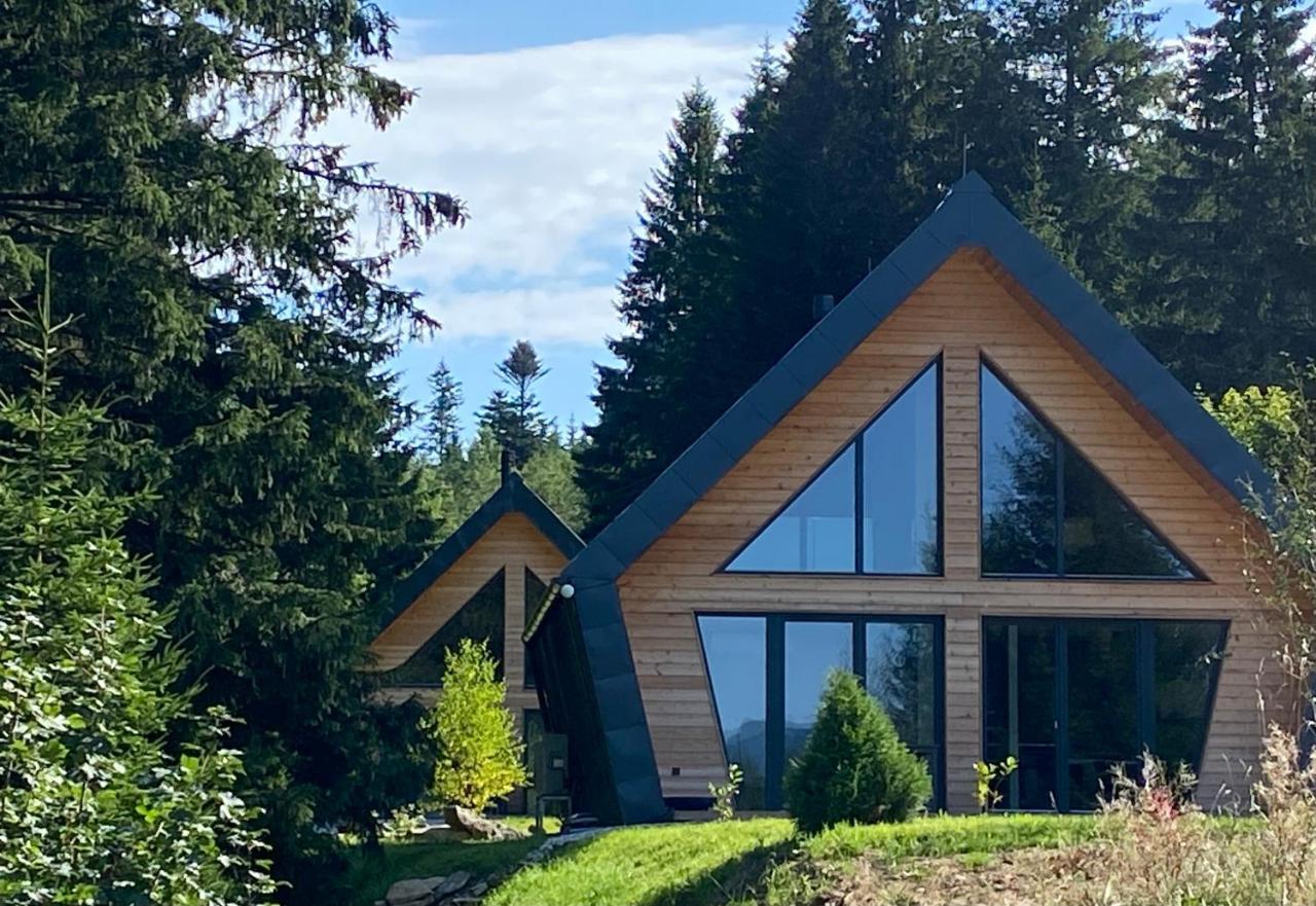 Chalet Belveder Horska Chata Železná Ruda المظهر الخارجي الصورة